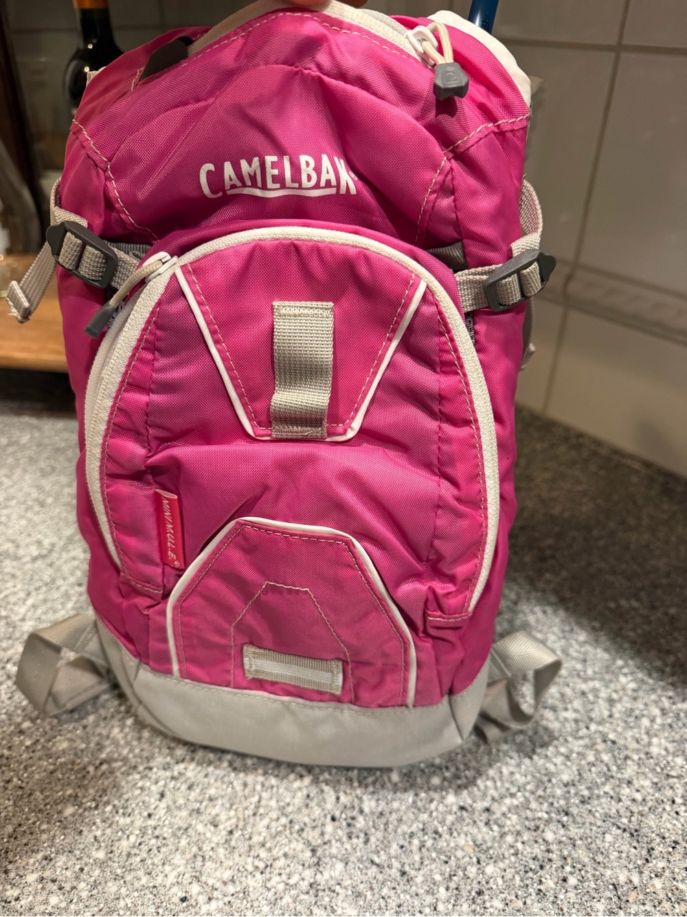 CamelBak Pink and Gray kids Hydration Backpack with Bladder